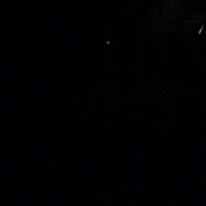 Meet your Posher, Terry